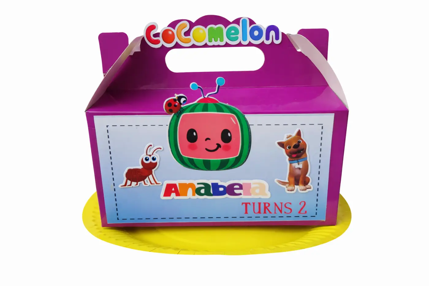 Cocomelon Party Boxes